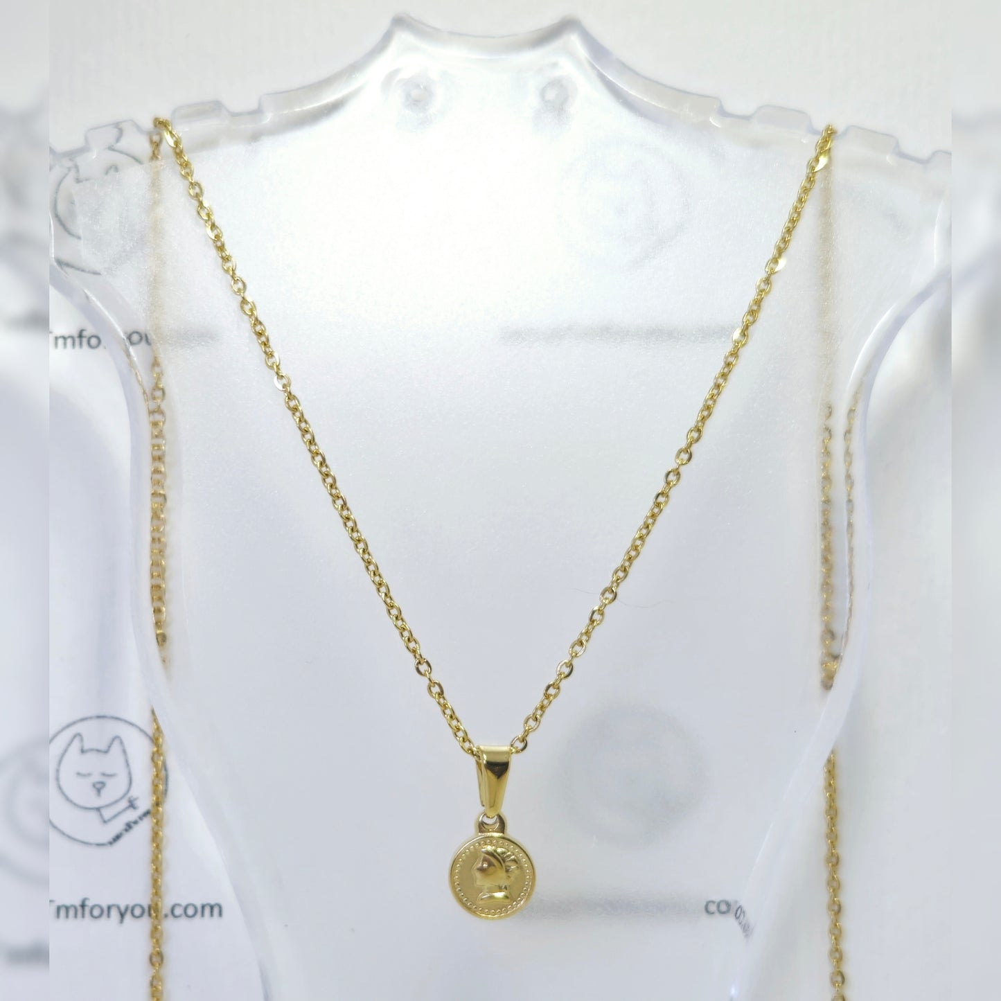 Ketting gouden munt
