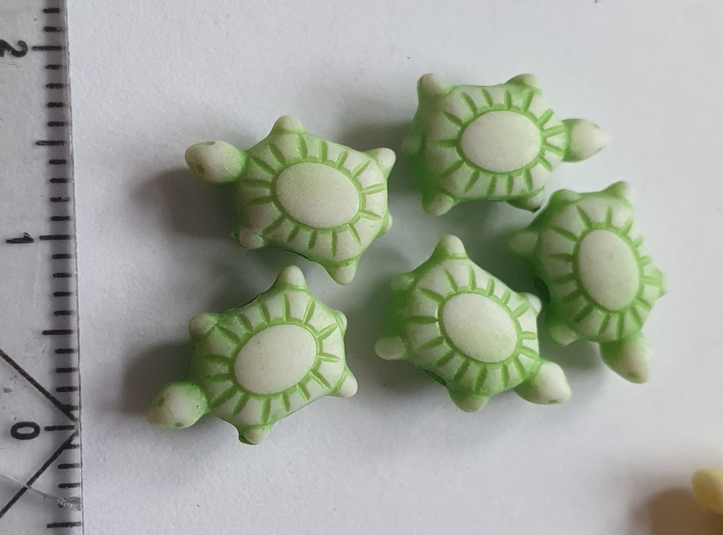 Gekleurde schildpadjes